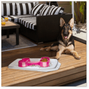 PERFECT MATCH BOWL + MATS