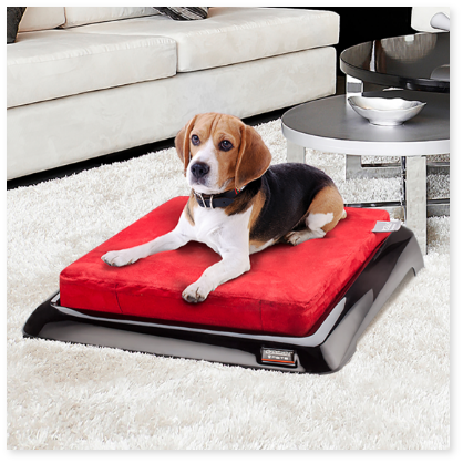 DESIGNER BED - Image 1