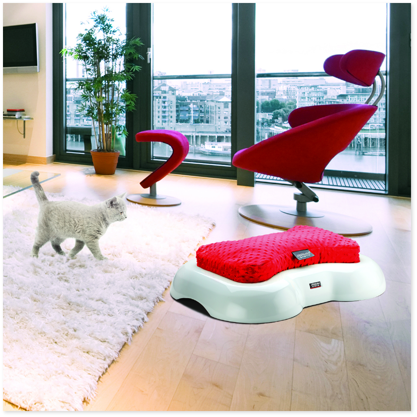 DESIGNER BED KITTY - Image 1