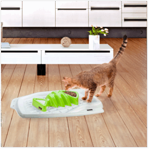 PERFECT MATCH FISH DESIGN BOWL + MAT