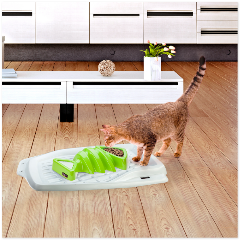 PERFECT MATCH FISH DESIGN BOWL + MAT - Image 1