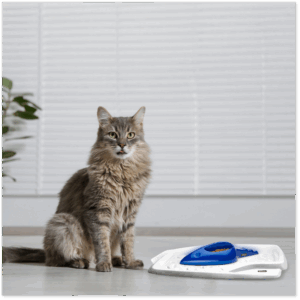 PERFECT MATCH MOUSE DESIGN BOWL + MAT