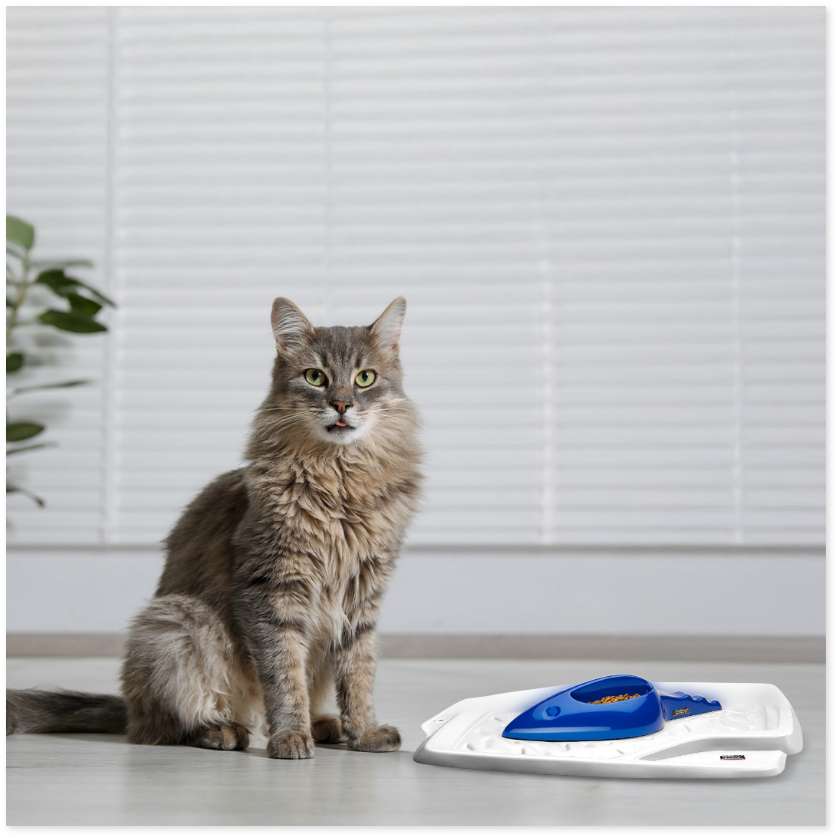 PERFECT MATCH MOUSE DESIGN BOWL + MAT - Image 1