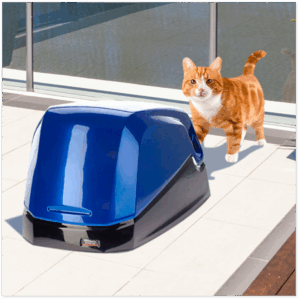 CAT-LITTER BOX
