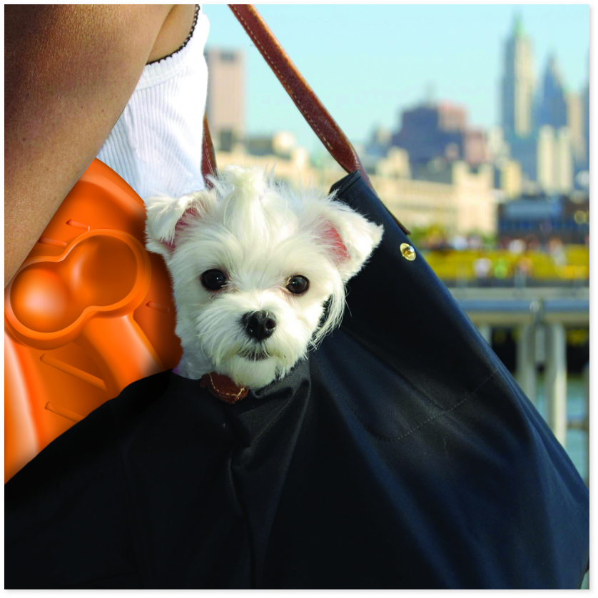 TO-GO BOWL - Image 1