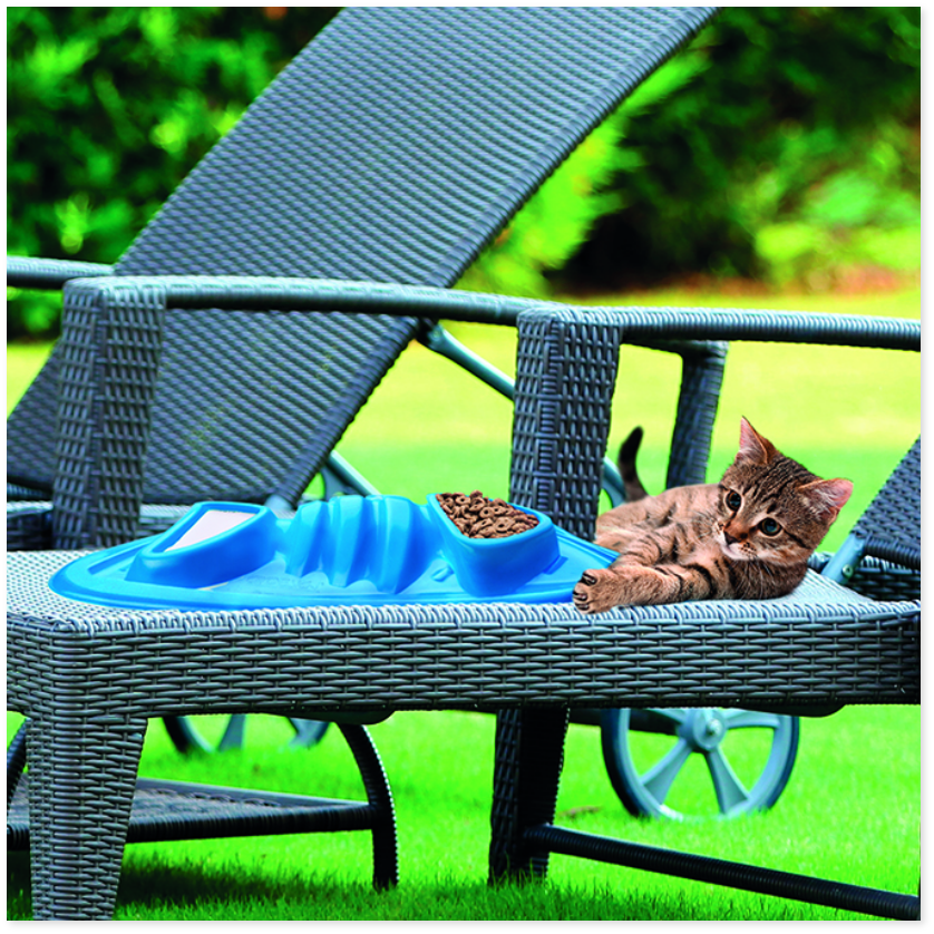 FISH DESIGN TO-GO BOWL - Image 1